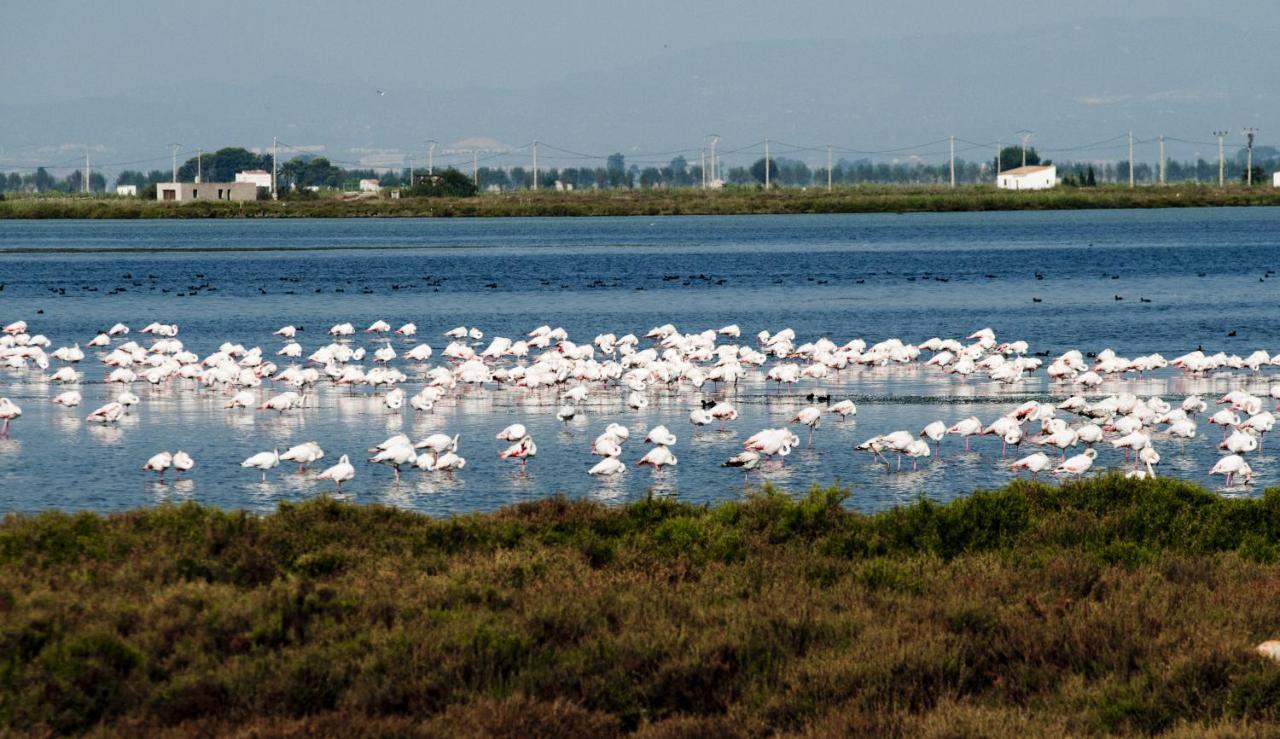 Los Pelicanos Miami Playa Екстер'єр фото